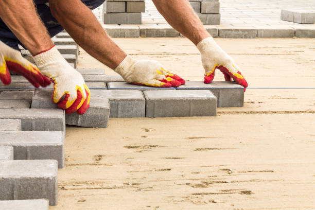 Best Driveway Paving Company  in Lesslie, SC
