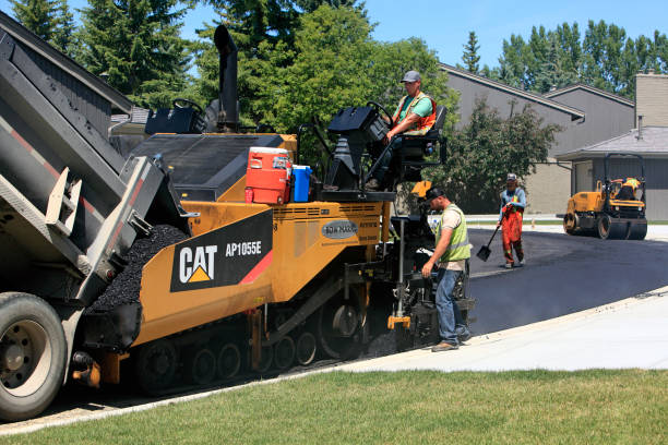 Best Professional Driveway Pavers  in Lesslie, SC
